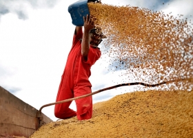 Coninagro advierte que podría haber demoras en liquidaciones del agro del ciclo 2020/21 tras la medida del Central