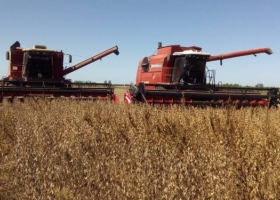 Inédita experiencia entre contratistas de La Pampa: Comparten sus números en una plataforma, para cooperar en vez de competir