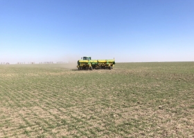 Alerta. Por la falta de lluvias vuelve a complicarse la campaña agrícola.