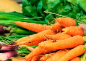 Agricultura incentiva la producción de alimentos orgánicos