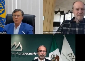 Las claves para enfrentar los desafíos del comercio global de alimentos