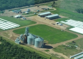 Con cifras récord, por qué la caída de grandes operadores terminó siendo negocio para las cooperativas del agro