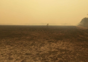 Chaco y Formosa en llamas: en 10 días registraron más de 8000 focos de incendios en los campos