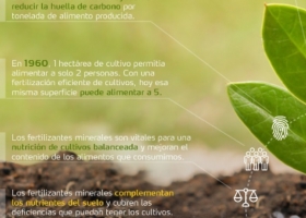 La mitad de la producción mundial de alimentos se debe a los fertilizantes
