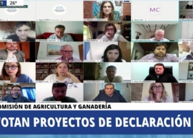 Diputados: cruces por un proyecto K para crear un Observatorio de Agroquímicos