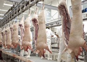Fuerte aumento del valor del cerdo en Estados Unidos