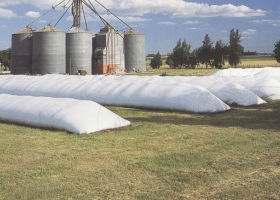 Impuesto a la riqueza: tres objeciones desde el sector agropecuario.