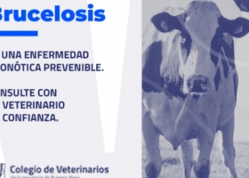 Brucelosis: Los planes de control y erradicación tienen un importante beneficio