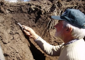 La microbiología del suelo se presenta como un actor principal que revoluciona la producción agropecuaria