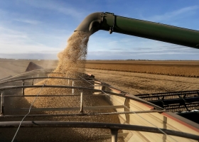 Menos retenciones y precio récord, pero el campo no liquida