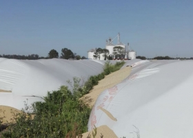 Silobolsas: tras otro ataque, ya destruyeron 169 en lo que va del año