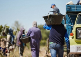 Mendoza: buscan 10.000 trabajadores pero solo se anotó la mitad