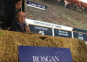 Alzas importantes en la invernada en el último remate del Rosgan