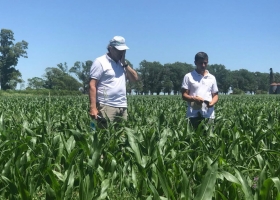 Con foco en el ambiente: los que construyen otro piso para la mejora de la producción agrícola