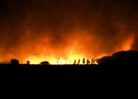 Incendios en Corrientes: el fuego arrasó más de 20.000 hectáreas de forestación
