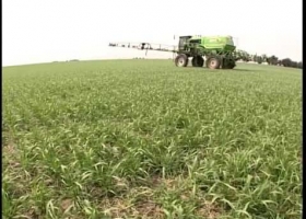Los precios de los granos alentaron la inversión en fertilizantes