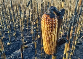 La Comisión de Enlace alerta que el proyecto kirchnerista sobre incendios en campos confunde víctimas con victimarios