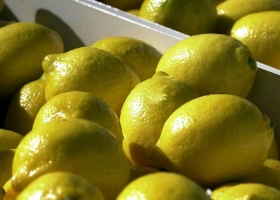 Limones: EE.UU. ya es el segundo mercado individual para el país y prevén más exportaciones en 2021