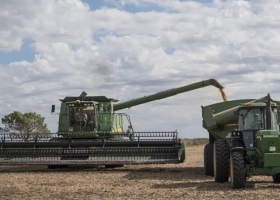 Más de la mitad: tuvo una leve caída lo que se lleva el Estado de una hectárea agrícola