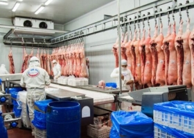 Alerta amarilla en el sector porcino argentino ante la noticia de que autoridades chinas aseguran haber detectado carne con Covid-19