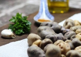 Presentan herramientas para mejorar la comercialización de los  alimentos