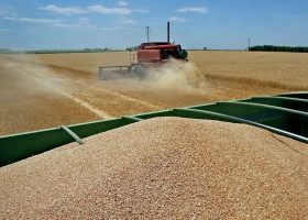 Qué sería la Argentina sin la "maldición" de exportar alimentos: menos dólares y menos empleo