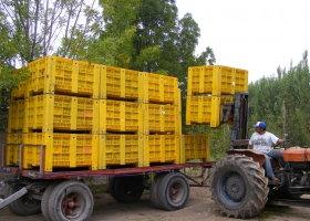 Came alertó por la falta de mano de obra en las economías regionales