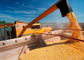 Por el efecto susto productores argentinos vendieron una cifra récord de 1,90 millones de toneladas de maíz 2020/21 en apenas dos semanas