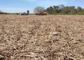 Región Núcleo continúa la faltante de agua 