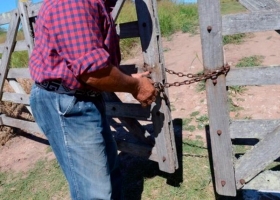 Por cuarto mes consecutivo: la actividad inmobiliaria rural registró otra baja en diciembre