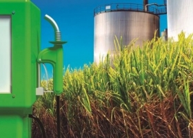 Las cámaras que reúnen a las productoras de biocombustibles piden la prórroga de la Ley 26.093