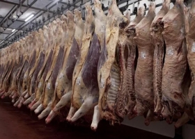 Carne: por menor oferta de hacienda y paros, la faena de enero fue una de las más bajas en 42 años