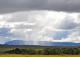 La soja temprana se salvó gracias a las ultimas lluvias