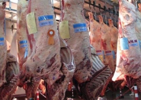 Tras los dichos de Fernández: ¿qué carne exporta la Argentina?