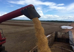 Los 4 datos que aseguran que el campo no es un formador de precios: “Gestionamos costos”