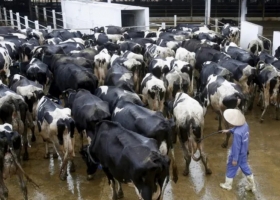 Por segundo año consecutivo, baja la seguridad alimentaria en el mundo