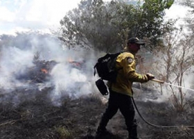 Alerta en el campo bonaerense por ataques que se adjudicó el grupo mapuche RAM