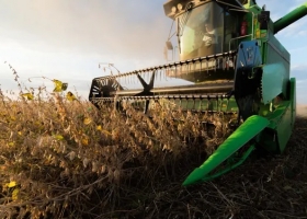 Cómo impactó el USDA sobre el mercado de granos de Chicago y Rosario