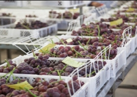 Destraban exportaciones a Brasil por u$s1.000 millones