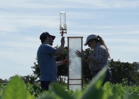 ¿Cómo es la investigación agrícola en la Argentina? Tiene buen nivel, pero estudia cosas distintas de las que demandan los productores