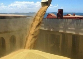 Las exportaciones de grano podrían superar los U$S 27 mil millones