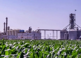 Biocombustibles: este martes se espera anuncio oficial sobre nueva ley
