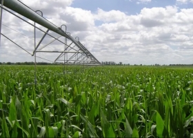 Los productores deben aprender a regar con criterio agronómico, lo que implica hacer mediciones.