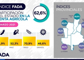 Un 70% de la renta de una hectárea de trigo se va en impuestos: ¿Qué efecto tiene en las regiones?