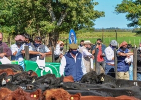 Lo mejor de la genética Angus se mostró en la Prueba Pastoril del Litoral