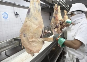 Productores autoconvocados repudiaron la intervención en el comercio de la carne