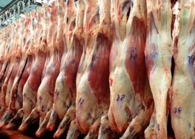Control: en carne, granos y lácteos se deberá informar lo que se prevé exportar