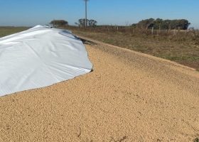 No hicimos mal a nadie: la bronca de un productor por la rotura de dos silobolsas