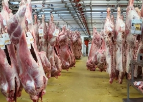 Con la firma de Basterra y Kulfas, crean las DJEC para controlar la exportación de carne