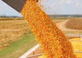 Déjennos producir para ayudar a la Argentina